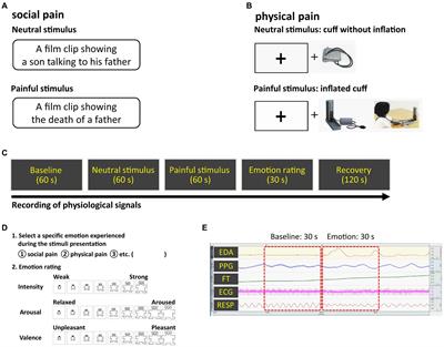 Comparing multimodal physiological responses to social and physical pain in healthy participants